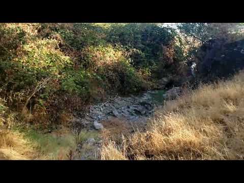 The Jackson Gate (Landmark #118)