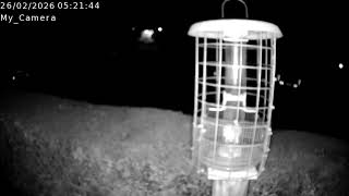 Woodbury Bird Feeder