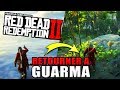 RED DEAD REDEMPTION 2 : COMMENT RETOURNER A GUARMA APRES L'HISTOIRE ( Tuto GLITCH )