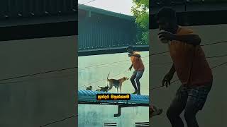 Download lagu විපත අතරත් හොඳ මිනිස්සු තවම ඉන්නවා ❤️ #youtubeshorts #shortsviral #shortvideos #shorts mp3