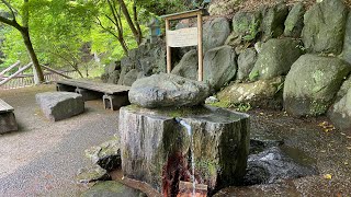 2026.4.29撮影　葛葉の泉から秦野市表丹沢野外活動センターまで全部みせ　