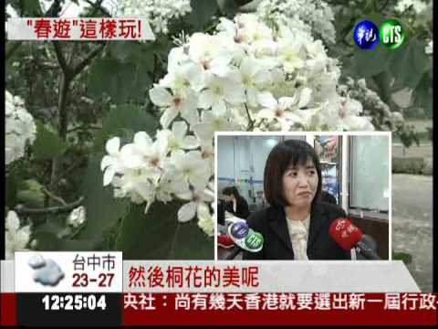 瘋完櫻花賞桐花 1日遊下殺52元