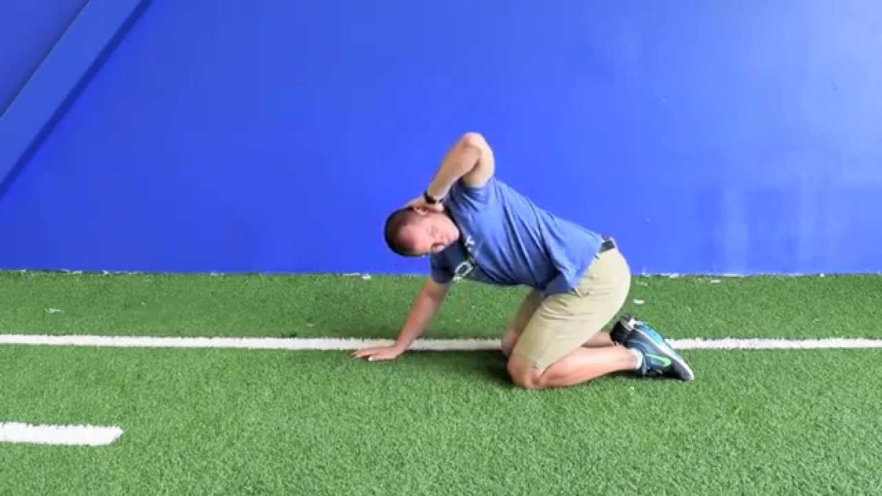 Quadruped Thoracic Spine Rotation thumnail