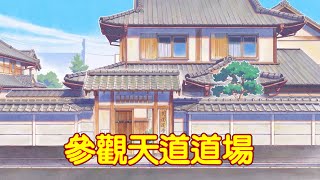 [閒聊] 亂馬1/2  天道道場