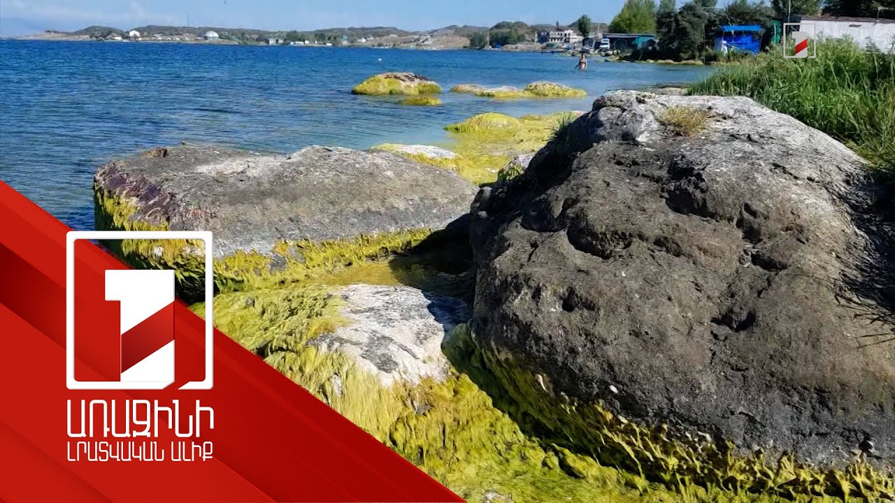 Սևանից լրացուցիչ ջրառի կարիք կլինի, կանաչումը կակտիվանա. քննարկում ԱԺ-ում