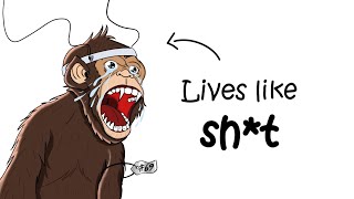 Why it SUCKS to Be a Lab Monkey