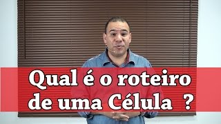 Qual é o roteiro de uma Célula ? - Pr. Bruno Monteiro