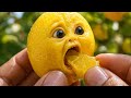 Surprised Lemon ASMR Satisfying Citrus Bite ASMR Satisfying Lemon ASMRVideo ViralVideo