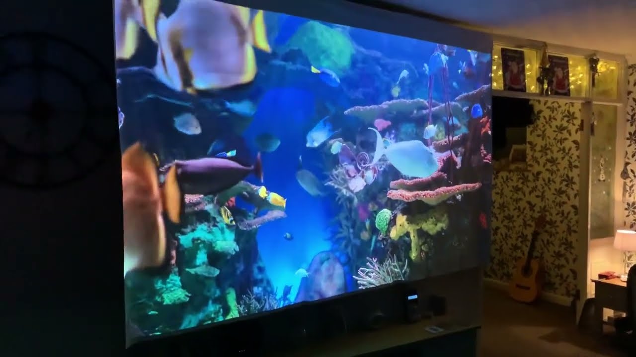 Videoprojecteur Optoma HD29HSTx