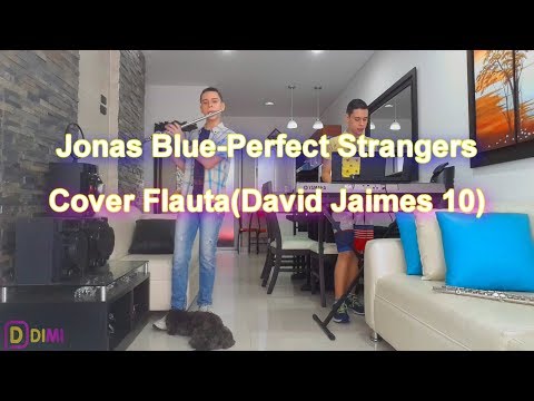 Jonas Blue Perfect Strangers cover Flauta (David Jaimes10)