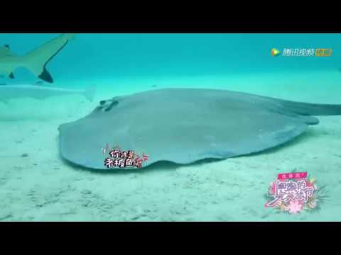 (Girlfriends Perfect Travel) - EP 2 (WJSN ChengXiao&XuanYi) ENG SUB