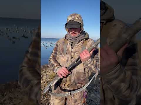 Switching to a 20 gauge for duck hunting?? Ethan of Locked In Productions reviews his Benelli M2