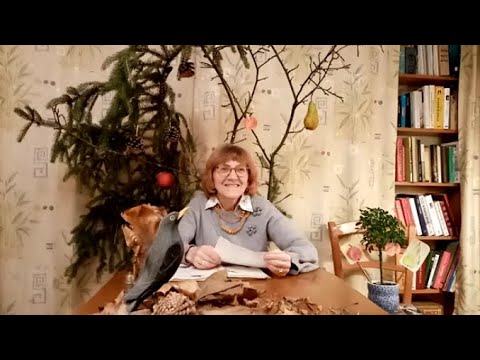 Bajka "Jabłko" z piosenką