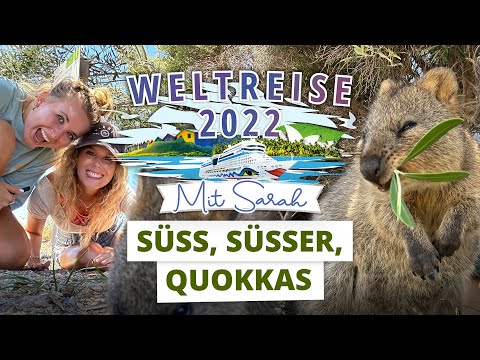 Vlog Nr. 12 | Weltreise mit AIDAmar