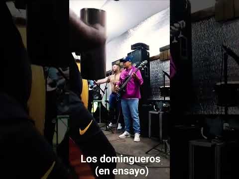 mini video ensayo (los domingueros)  #domingueros  #alegriaypasion