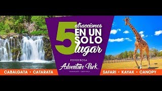 LeivaTours - Ponderosa Adventure Park - Versión Corta Africa Safari Costa Rica