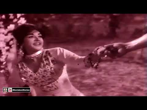 PEHLAN HI DIL ZAKHMI  MERA - MALA - PAKISTANI FILM MAALI