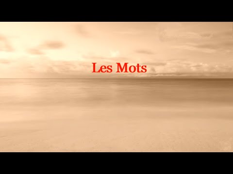Mylène Farmer  &  Seal  -  Les Mots  (Paroles)
