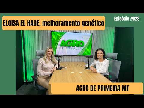 Genética em busca da melhor carne do mundo no Agro de Primeira