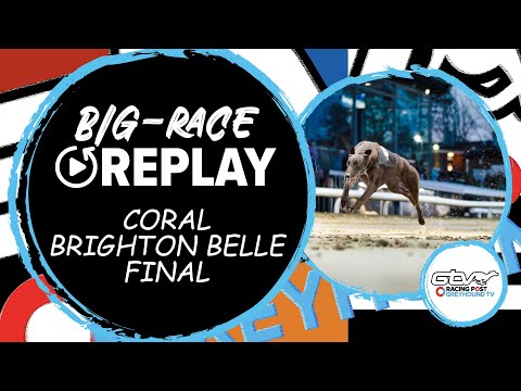 2023 Coral Brighton Belle Final - Betsys Bullet | Greyhound Race Replays | 2023 Big Finals