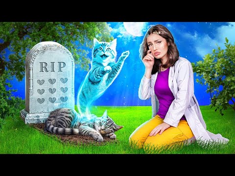 Ik Heb een Dakloze Kitten Geholpen! Slimme Gadgets en Hacks voor Huisdiereigenaren!