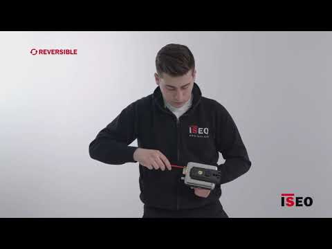 Rim Electric Locks For Gates - ISEO made in Italy