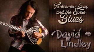 David Lindley  - Tu-ber-cu-Lucas and the Sinus Blues