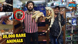 I MET WITH THE KING OF EXOTIC PETS😱😍 - Iguana, Danger Turtle, Snakes, Frogs Etc.