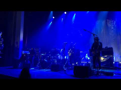 The Dandy Warhols - Forever (live in Belgium 2019)
