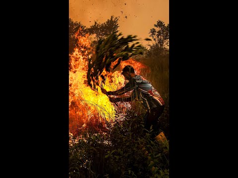 Indonesia wildfires spark wave of protests
