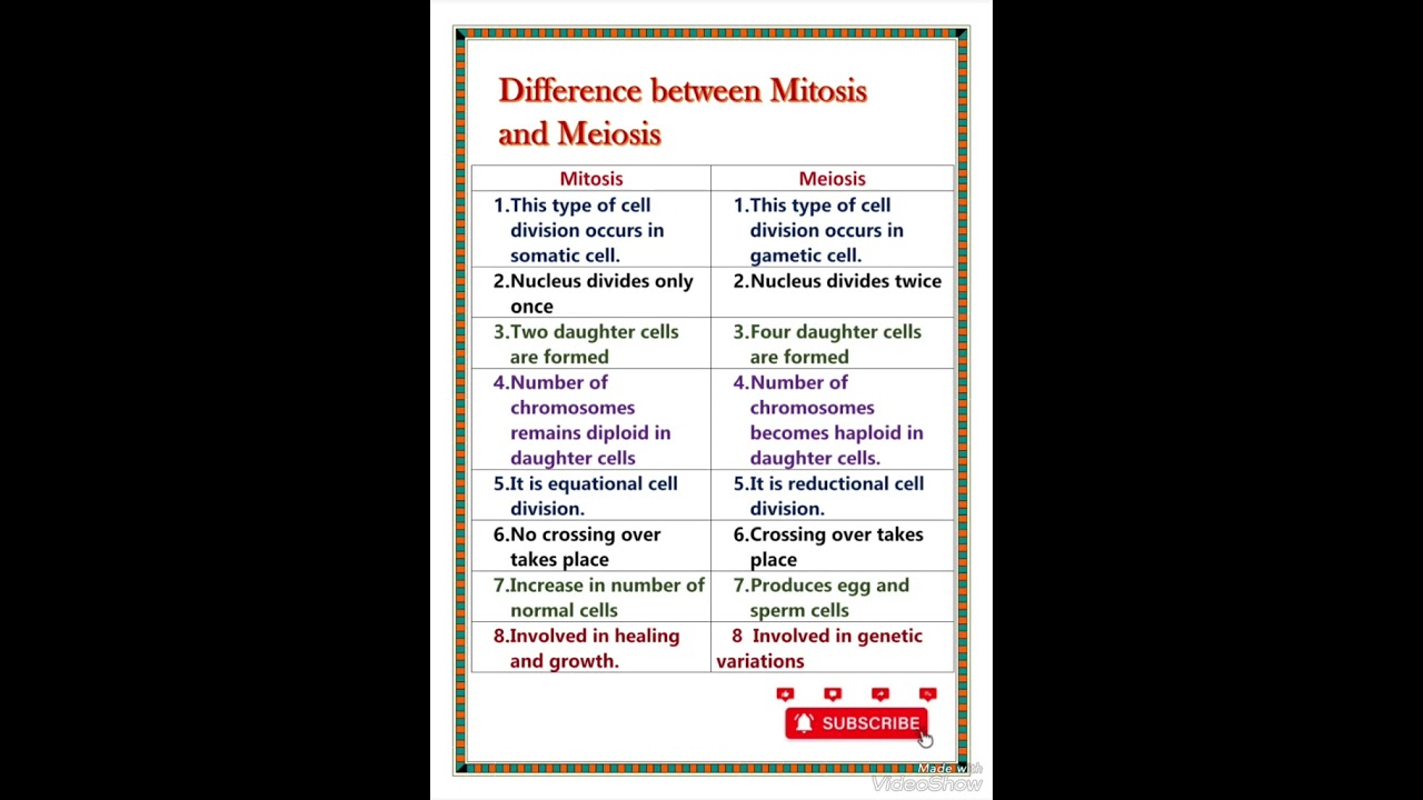 Difference between mitosis and meiosis