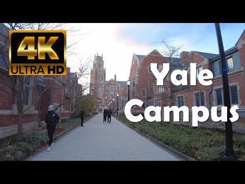 Yale University | 4K Campus Walking Tour