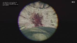 RDR2 Satisfying Headshot