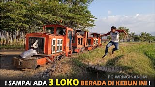 [閒聊] 印尼的糖業鐵路