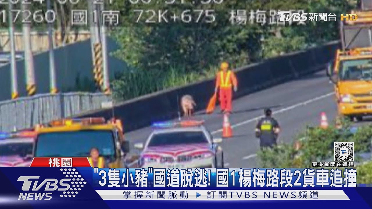 「3隻小豬」國道脫逃! 國1楊梅路段2貨車追撞