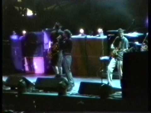 Pearl Jam - Red Mosquito (1996-09-28 Downing Stadium) Master + Matrix Audio