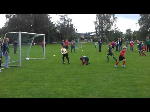 2013.06.29 F-Jugend Fußballturnier in Babstadt