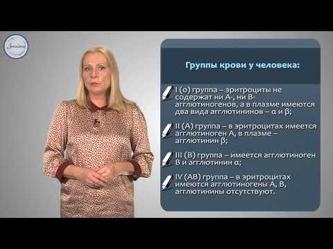 Группы крови. Резус-фактор. Переливание крови