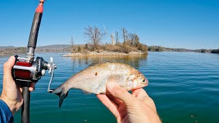 BIG Catfish Can't Resist This Rig and Bait!