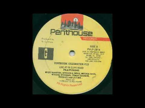 Penthouse Celebrations Part 5 Side A