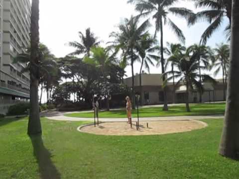 Cuban Royal Palms in Hawai'i