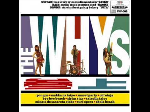 The WHYs  - por que