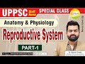 Reproductive System Part 1 Male Reproductive For UPPSC Staff Nurse