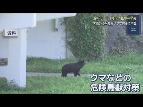 YouTube Video 浜松市一般会計３４億円の１１月補正予算案を発表　クマなど危険鳥獣対策費も計上