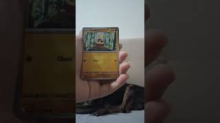 #tcg #pokemon #pokemonchannel #cards #pokemoncards #pokemontcg #tcgpokemon