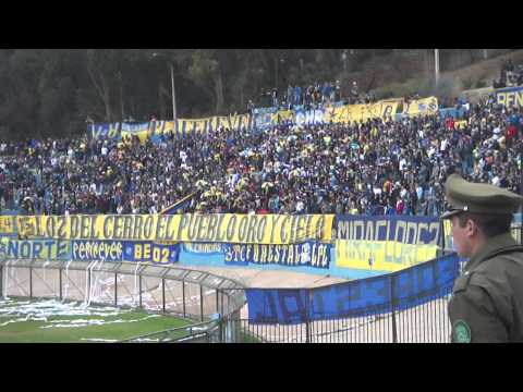 "LOS DEL CERRO / EVERTON Jugadores hay que poner mas huevos" Barra: Los del Cerro • Club: Everton de Viña del Mar