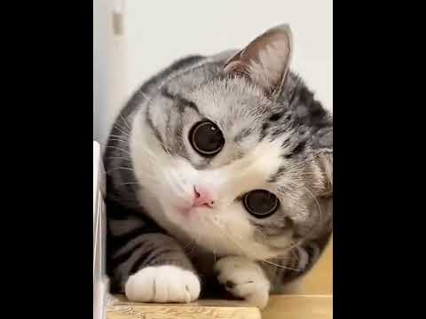 Calling Out the Cutest Person to Watch this! #LoveGeometries