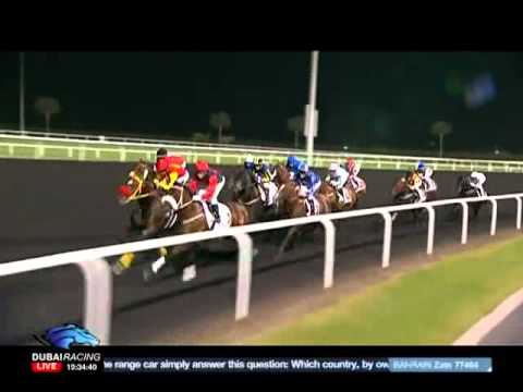 Krypton Factor - Dubai Golden Shaheen 2012