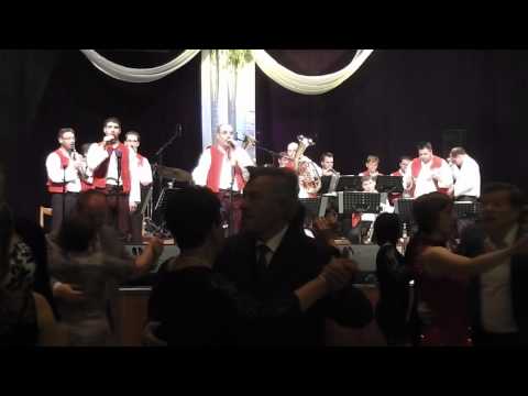 Chtěl bych dívča vypovědět - DH Trnkovjanka ( Ples muzikantů Hodonín 2015 )