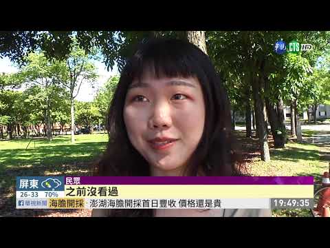 西螺大橋旁祕境 空拍現大蝴蝶造景